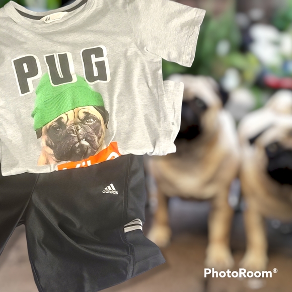 🎧3/$25 SzM Adidas Shorts - Picture 4 of 10